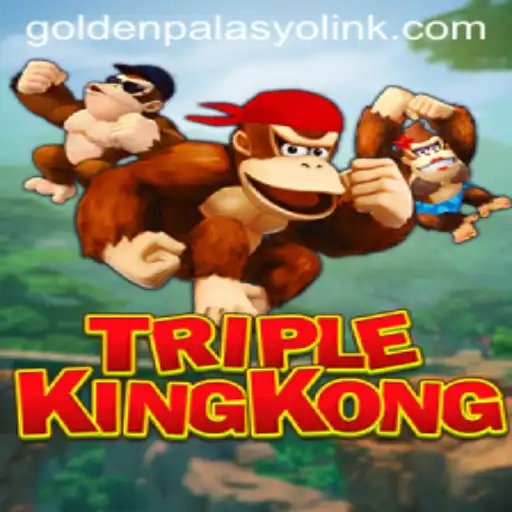 Experience the Thrilling Adventure of 